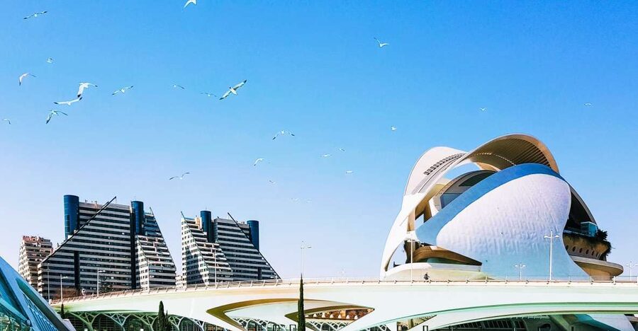 From Alicante: Valencia Full-Day Guided Tour - Plaza de la Virgen, Basilica Area, and the Cathedral’s Hidden Holy Detail