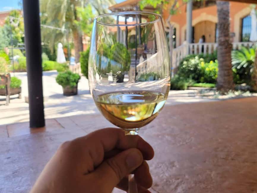 From Alicante: Winery Tour and Wine Tasting with Tapas - Key highlights worth your time