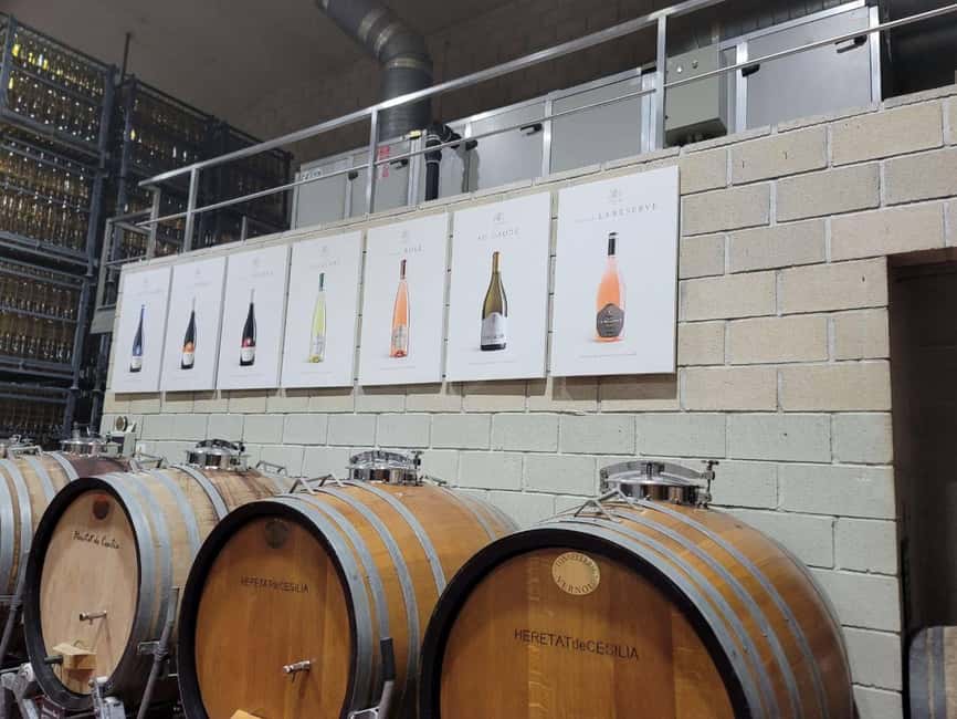 From Alicante: Winery Tour and Wine Tasting with Tapas - Vineyard time first: planting, effort, and harvest timing