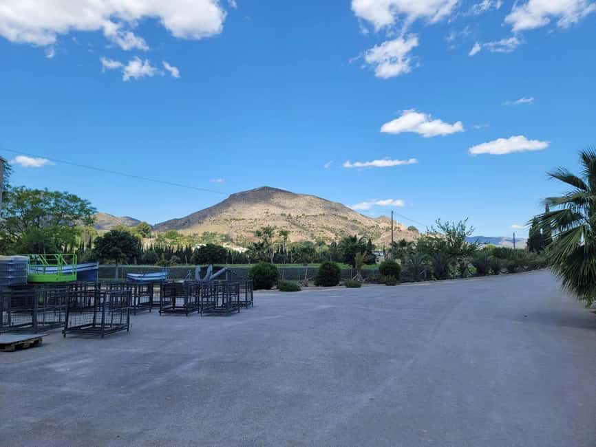 From Alicante: Winery Tour and Wine Tasting with Tapas - The tasting: 3 wines plus tapas, with a smart pacing
