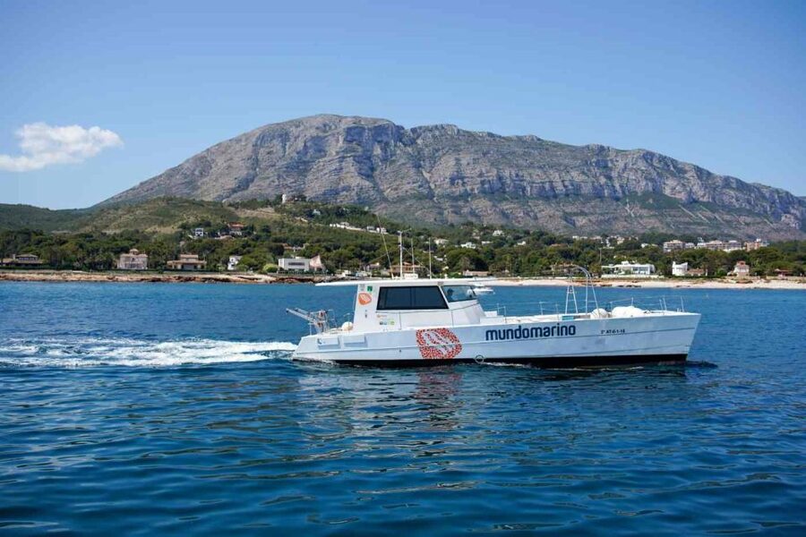 From Denia: Boat Trip to Tallada Cave with Optional Swim - Cova Tallada: what you’re really doing at the cave stop