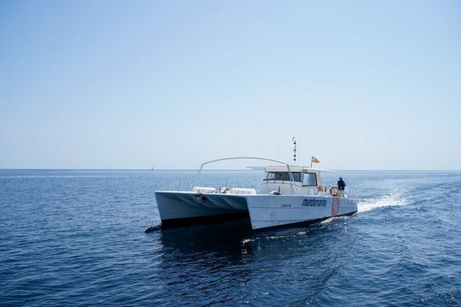 From Denia: Boat Trip to Tallada Cave with Optional Swim - The Dénia Marine Reserve and spotting sea life