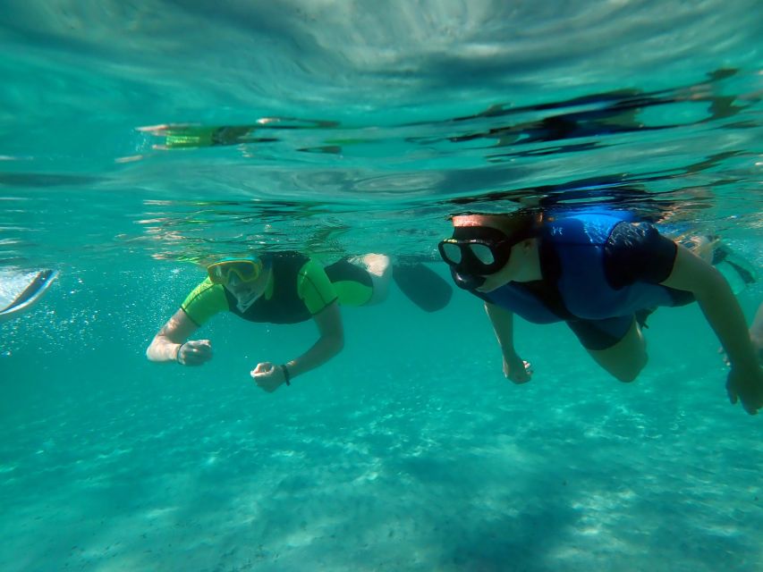 From Santa Pola: Snorkel Trip in Tabarca Island - Key things to know before you go