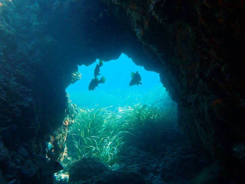 From Santa Pola: Snorkel Trip in Tabarca Island - Santa Pola to Tabarca, the easy way to get on the water