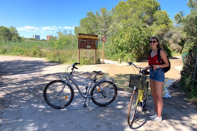 From the Old Town to the City of Arts – Small Group Bike Tour - Jardí del Turia: 14 kilometers of park riding that feels like a reset