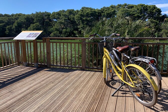 From the Old Town to the City of Arts – Small Group Bike Tour - Comfort notes: what to consider before you ride
