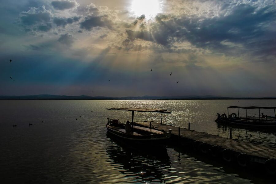 From Valencia: Albufera Boat Ride, Sunset & Paella Included - Key highlights you will feel right away