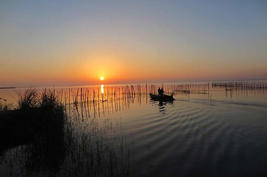 From Valencia: Albufera Boat Ride, Sunset & Paella Included - Albufera boat time: why this lake is so watchable