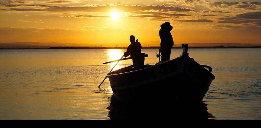 From Valencia: Albufera Boat Ride, Sunset & Paella Included - Guided lake hour: what to watch for on the Albufera boat