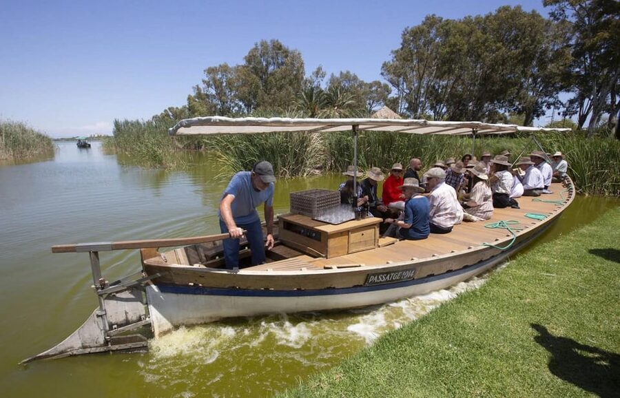 From Valencia: Albufera Boat Ride, Sunset & Paella Included - The guide makes it: Miguel and the art of explaining what you see