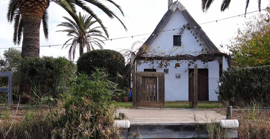 From Valencia: Albufera Boat Ride, Sunset & Paella Included - Transport, tickets, and the express security check you will appreciate