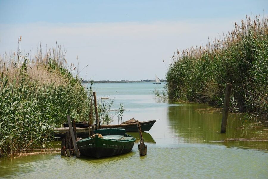 From Valencia: Albufera Boat Ride, Sunset & Paella Included - What you get for the $89: food, transport, and a guided experience in one slot