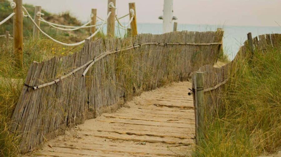 From Valencia: Albufera Day Trip with Boat Tour and Transfer - Why Albufera feels like another world from Valencia