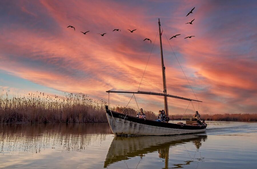 From Valencia: Albufera Day Trip with Boat Tour and Transfer - From sea to wetland: what you do on the coach and on foot