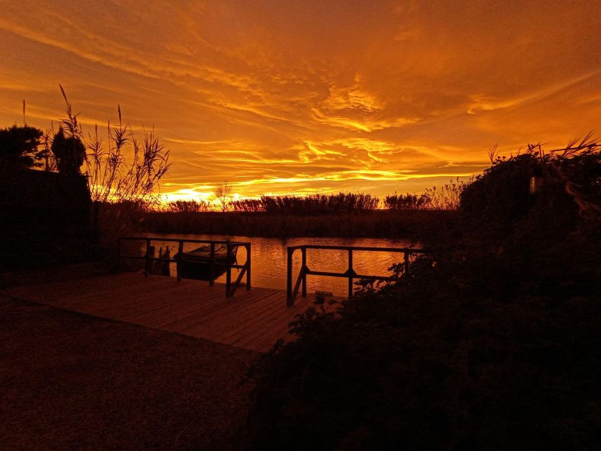 From Valencia: Albufera Natural Park with Sunset Boat Tour - What to bring and how to get comfortable