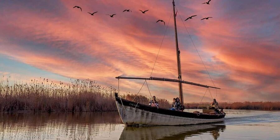 From Valencia: Albufera Natural Park with Sunset Boat Tour - Valencia to Albufera for sunset: why this outing feels special
