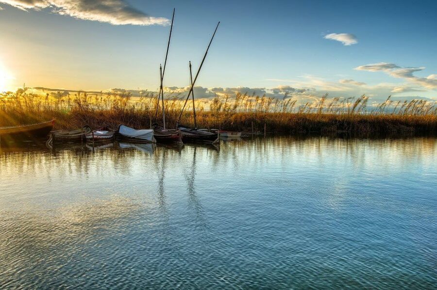 From Valencia: Albufera Natural Park with Sunset Boat Tour - The heart of the trip: the 80-minute sunset boat ride