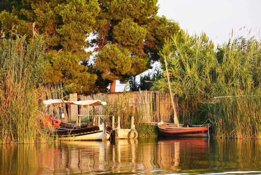 From Valencia: Albufera Natural Park with Sunset Boat Tour - Getting there fast: pickup points and the half-hour coach ride