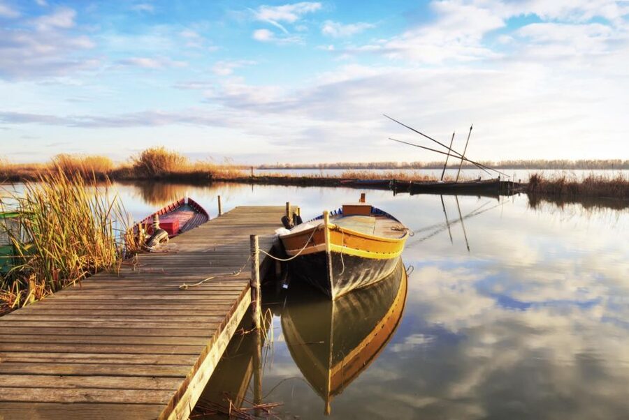 From Valencia: Albufera Private Tour, Paella & Boat Ride - Barracas, forests, and a gentle walk to the beach