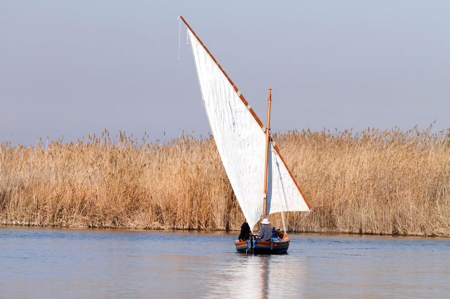 From Valencia: Albufera Private Tour, Paella & Boat Ride - Torre mirador del Tancat de Mília: your birdwatching moment (40 minutes)
