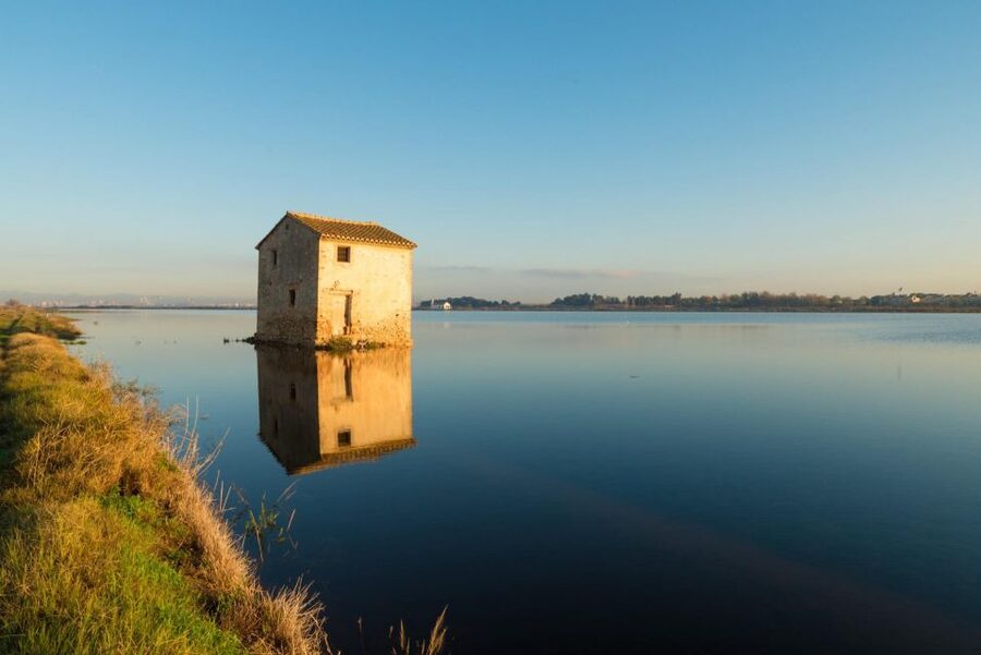 From Valencia: Albufera Private Tour, Paella & Boat Ride - The 1 hour Albufera boat cruise, ideally at sunset