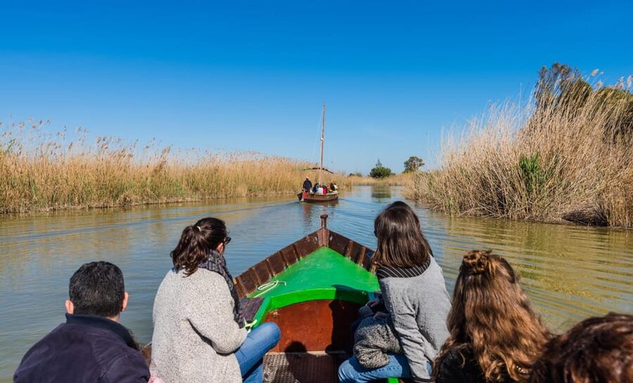 From Valencia: Albufera Private Tour, Paella & Boat Ride - Price and value check: what you are paying for at $266 per person