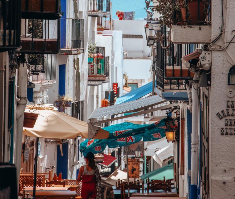 From Valencia: Day Trip to Peñiscola with Castle Visit - Price and what $94 covers: value if you want guidance and tickets