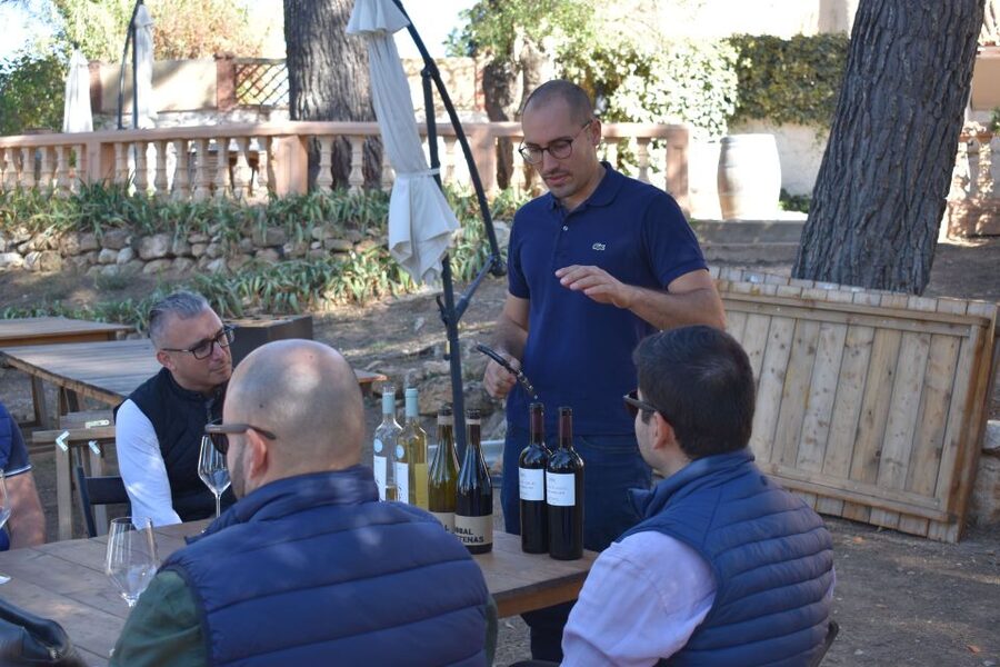 From Valencia: Guided Cheese Factory Tour with Wine Tasting - Should you book this guided cheese and wine day?
