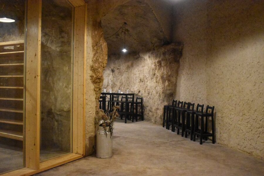 From Valencia: Guided Cheese Factory Tour with Wine Tasting - Tasting 8 goat cheeses with unlimited white wine