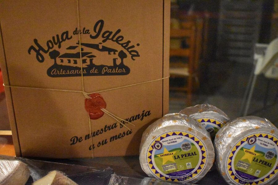 From Valencia: Guided Cheese Factory Tour with Wine Tasting - Price and value check: what $117 really covers