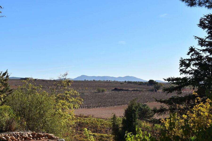 From Valencia: Guided Cheese Factory Tour with Wine Tasting - Who should book this Utiel-Requena cheese and wine day