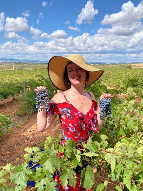From Valencia: Utiel-Requena Wine Tour and Traditional Lunch - Key highlights worth your time
