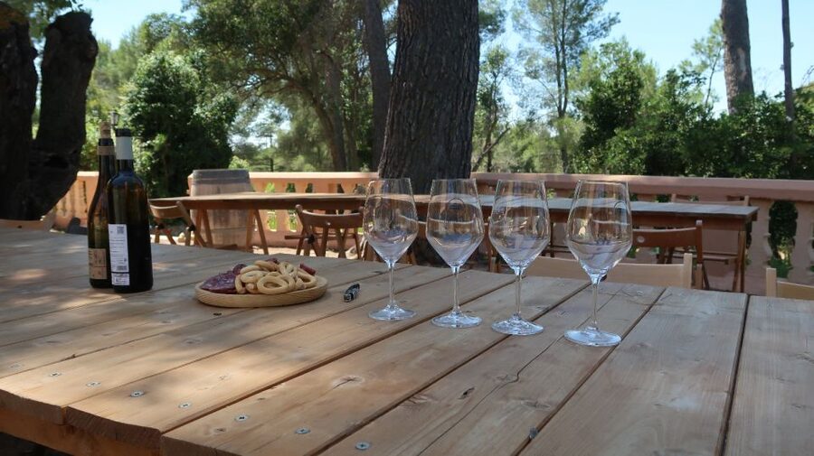 From Valencia: Utiel-Requena Wine Tour and Traditional Lunch - Who this Utiel-Requena tour fits best