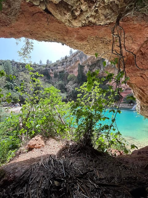 From Valencia: Wine Tasting + Nature exploration - Why the guide matters, especially if you like local tips