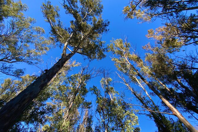 Full-day Hiking at Ruta the Aqua across Pena Cortada - Price and value: is $216.74 per person worth it?