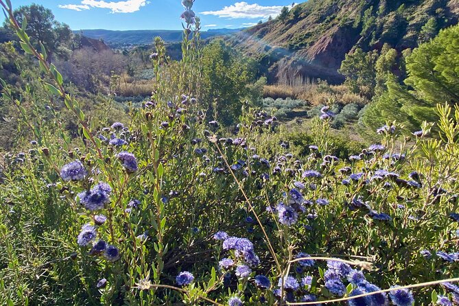 Full-day Hiking at Ruta the Aqua across Pena Cortada - Weather rules: what the good-weather condition really means for your plan