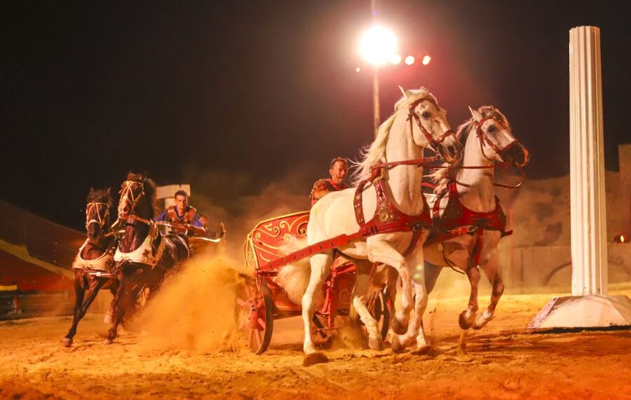 Gran Circus Maximus Entrada + transporte - Is this worth it for families, couples, and Roman-nerds?