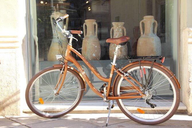GRAND CITY Private Guided Tour on Bike, E-Bike, E-Step or Segway - Meet at Carrer de l’Herba, then roll with the right setup