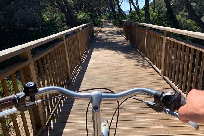 GRAND CITY Private Guided Tour on Bike, E-Bike, E-Step or Segway - Old Town Square Circuit: Mare de Deu, Reina, and Dos Aguas