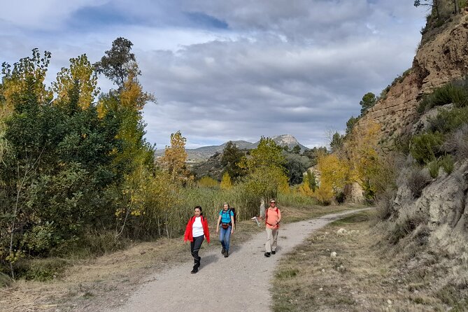 Hike to the Roman aqueduct Peña Cortada - How demanding is the hike, really?