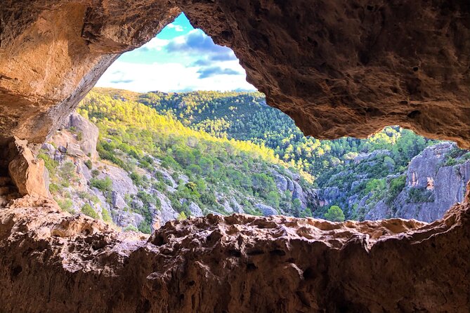 Hiking Tour of the Roman Aqueduct of Peña Cortada and Ruta de Agua - The picnic moment: lunch by the river and shaded breaks