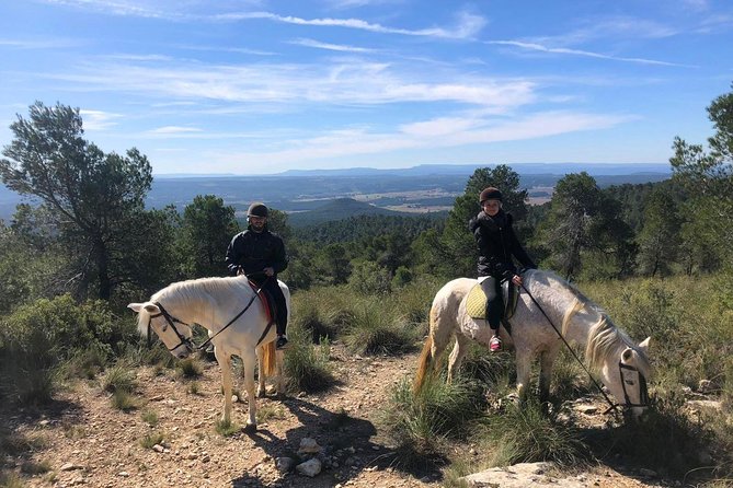 Horseback riding and wine tour (private tour) - Key highlights at a glance