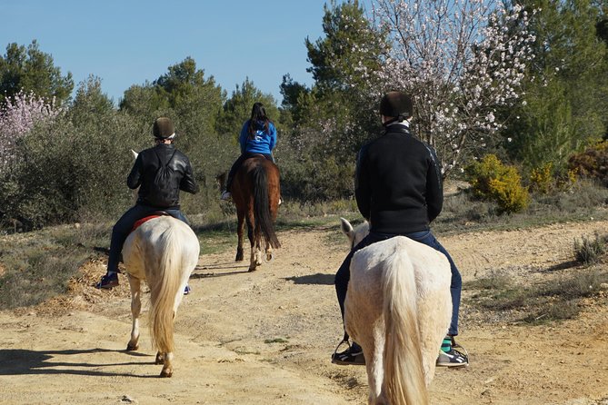 Horseback riding and wine tour (private tour) - Timing, Meeting Point, and How the Day Flows