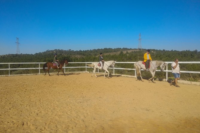 Horseback riding and wine tour (private tour) - Winery Time: Picking Your 3 Wines and Settling In