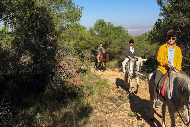 Horseback riding and wine tour (private tour) - Why the Utiel-Requena Setting Feels More Authentic