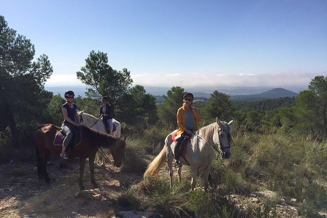Horseback riding and wine tour (private tour) - Price and What You Actually Get for Around $180