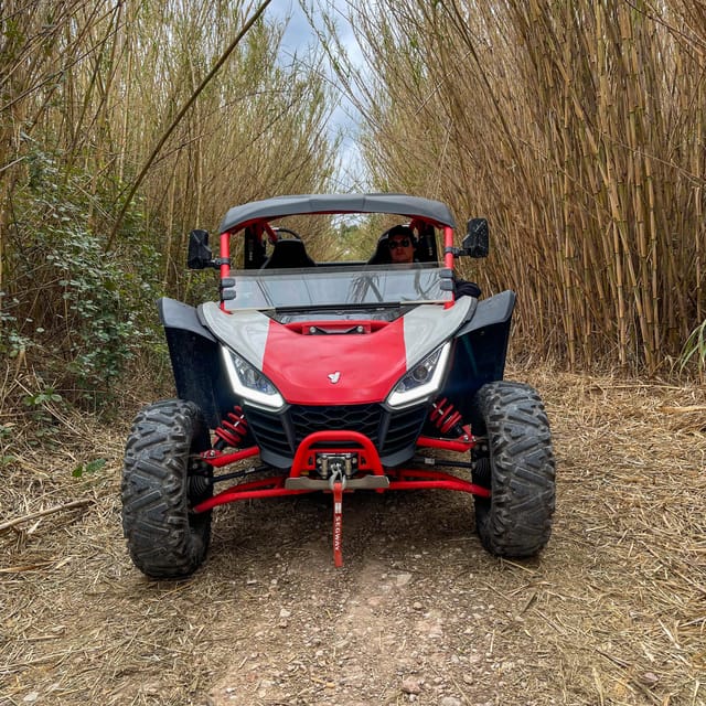 Jungle: Buggy Adventure - A 15-Minute Pit Stop, Plus Photo Moments With the Guide