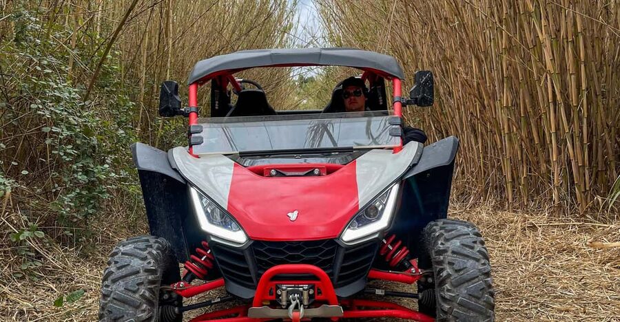 Jungle: Buggy Adventure - What’s Included, What’s Not, and How to Think About the Price
