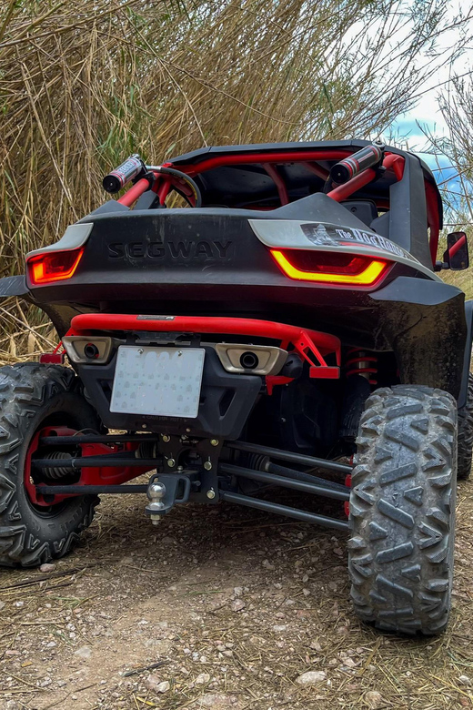 Jungle: Buggy Adventure - Who This Buggy Adventure Is Best For (and Who Should Skip It)