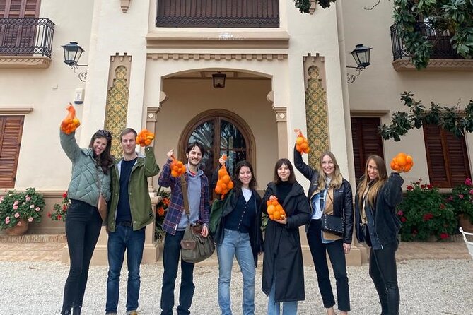 Live an Experience Among Orange Trees in Huerto Ribera - Price and value: what $36.14 gets you
